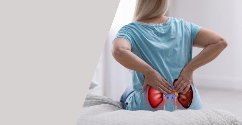 Importancia vital de los riñones: 3 cosas a tener en cuenta para su salud