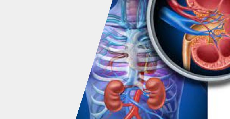 Enfermedad renal crónica: Guía competa de nutrición