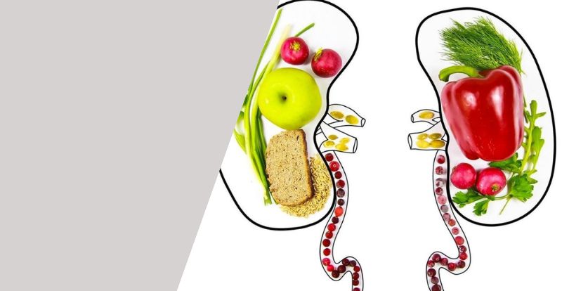 Alimentación adecuada con insuficiencia renal
